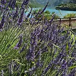 Visit Dreznica - Canyon Retreat Lodge *