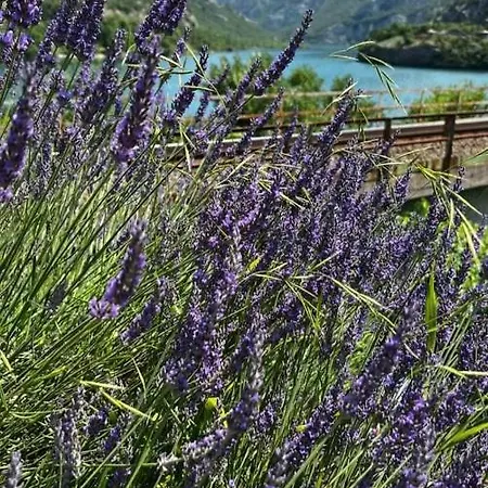 Visit Dreznica بيت خشبي *