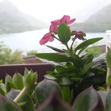 Visit Dreznica Lodge *